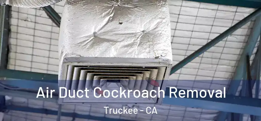  Air Duct Cockroach Removal Truckee - CA