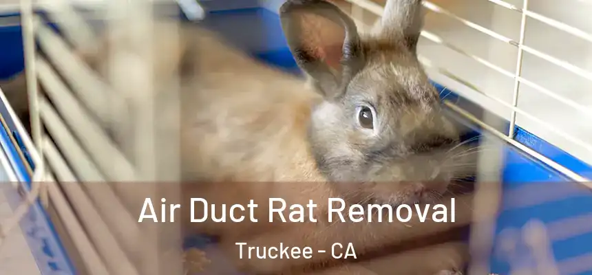  Air Duct Rat Removal Truckee - CA