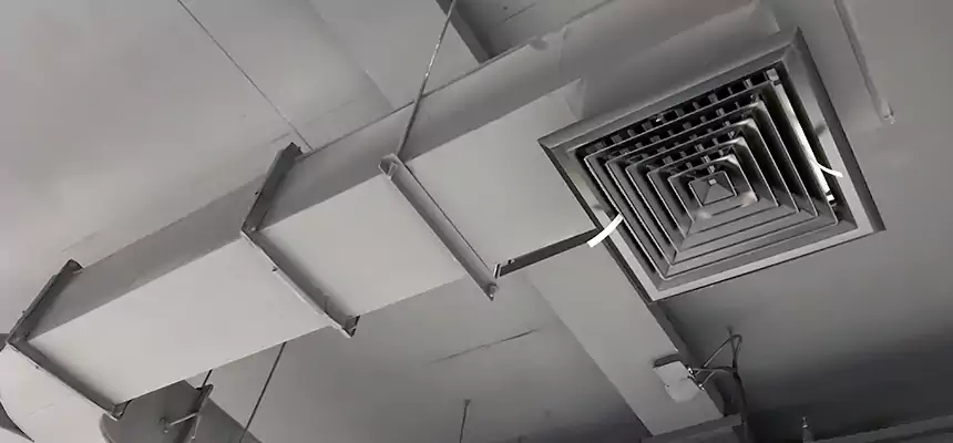 Restorative Allergy Relief Vent Cleaning – Coil, Blower & Housing Detail in Truckee