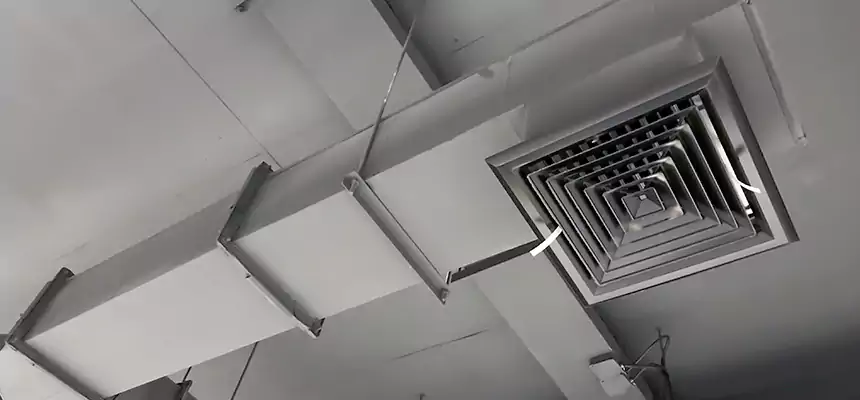 Our Rodent Droppings In Vents Services in Truckee, CA