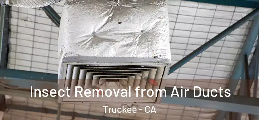  Insect Removal from Air Ducts Truckee - CA