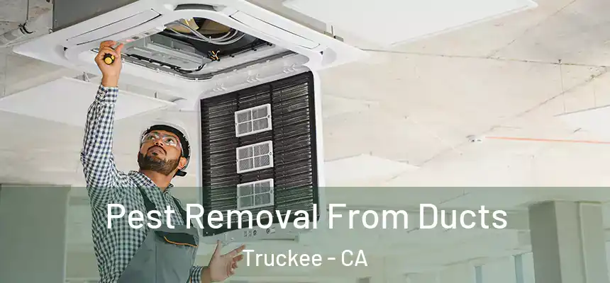  Pest Removal From Ducts Truckee - CA