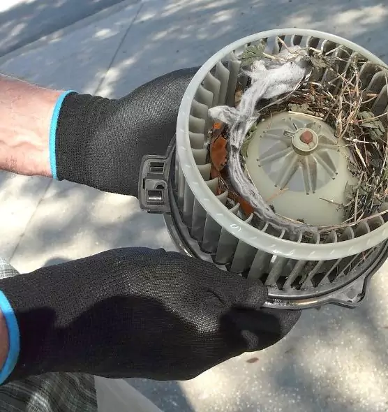 About Air Duct Rat Removal in Truckee, CA