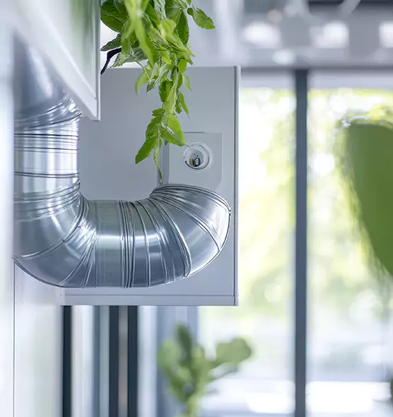 Professional Eco-Safe Dryer Vent Cleaning in Truckee, CA