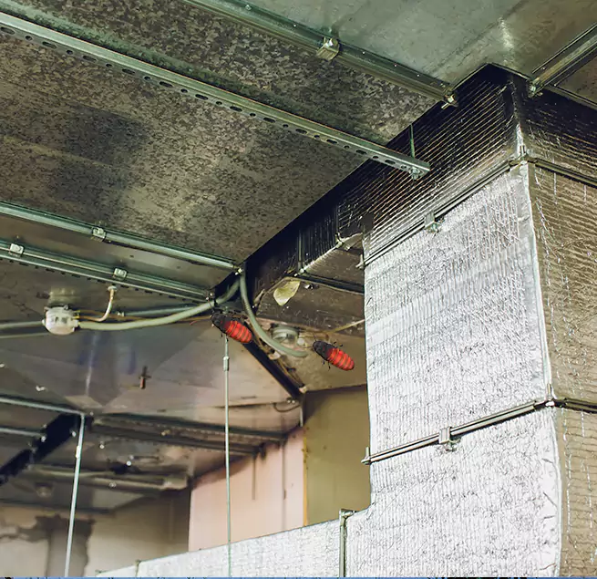 Why Homeowners & Businesses Trust Us Truckee, CA?