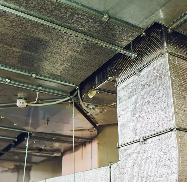 Why Homeowners & Businesses Trust Us in Truckee, CA?